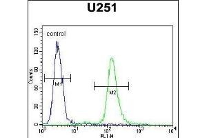 AC Antibody (N-term) (ABIN651370 and ABIN2840207) flow cytometric analysis of  cells (right histogram) compared to a negative control cell (left histogram). (Acap3 Antikörper  (N-Term))