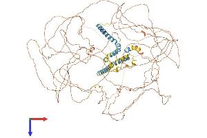 Protein Structure (PS) image for Reticulon 4 (RTN4) (AA 1-1162) protein (His tag) (ABIN7564921)