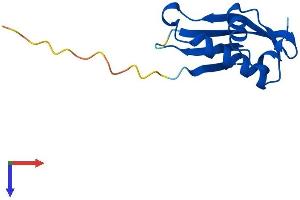 Chromosome 17 Open Reading Frame 103 (C17ORF103) (AA 1-113) protein (His tag)