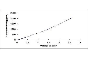 Typical standard curve (TIMP1 ELISA Kit)