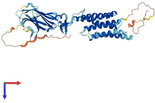 TMEM8B Protein (AA 1-472) (His tag)