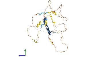 AlphaFold protein structure predicition of Human Recombinant CEBPB Protein, UniprotID P17676