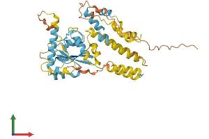 Protein Structure (PS) image for Immunity-Related GTPase Family, Cinema (IRGC) (AA 1-412) protein (His tag) (ABIN7559112)