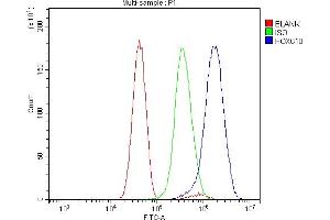 Flow Cytometry analysis of U251 cells using anti-HOXC10 antibody (ABIN7599157). (HOXC10 Antikörper  (AA 1-250))