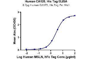 Immobilized Human CA125, His Tag at 2 μg/mL (100 μL/Well) on the plate.