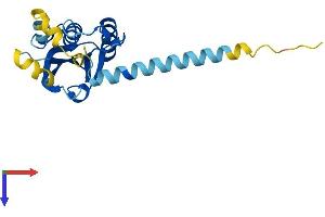 PPPDE1 Protein (AA 1-194) (His tag)