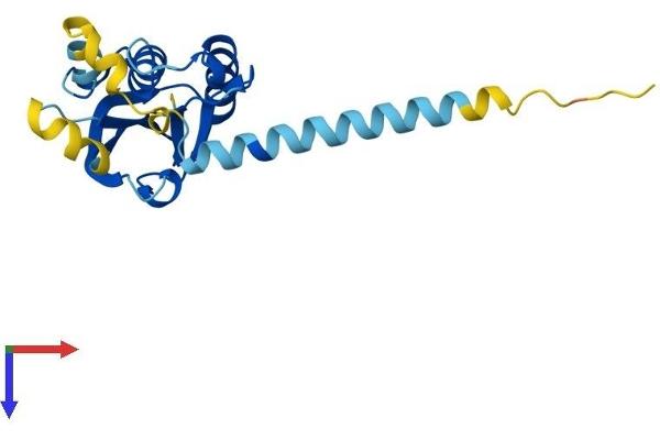 PPPDE1 Protein (AA 1-194) (His tag)