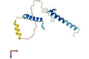 LLPH Protein (AA 1-129) (His tag)