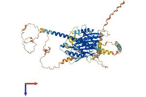 KIF12 Protein (AA 1-646) (His tag)