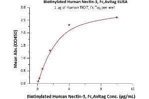 Immobilized Human TIGIT, Fc Tag (ABIN2181815,ABIN6951013) at 10 μg/mL (100 μL/well) can bind Biotinylated Human Nectin-3, Fc,Avitag (ABIN5526674,ABIN5526675) with a linear range of 0.