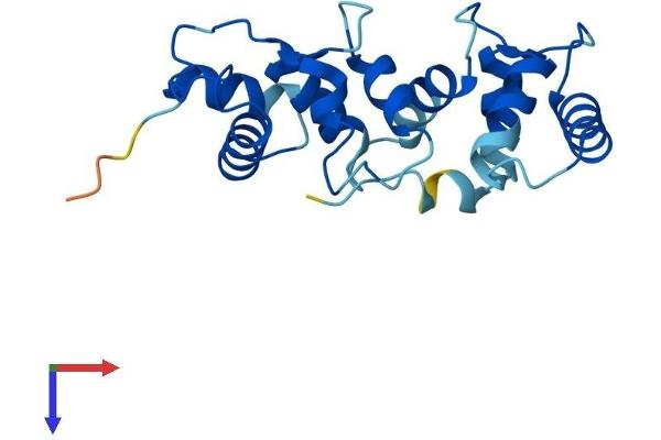 CIB2 Protein (AA 1-187) (His tag)
