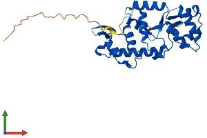 Protein Structure (PS) image for serine/threonine Kinase 19 (STK19) (AA 1-254) protein (His tag) (ABIN7561513)
