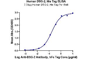 ELISA image for Desmoglein 2 (DSG2) (AA 50-609) protein (His tag) (ABIN7274500)