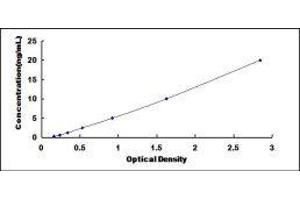 Phospholipase C gamma 2 (PLCG2) ELISA Kit