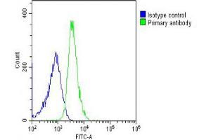 Overlay histogram showing U-2OS cells stained with Antibody (green line).
