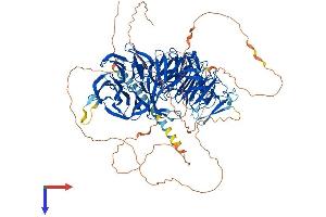 EML4 Protein (AA 1-988) (His tag)