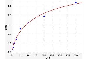 Adenosine Deaminase (ADA) ELISA Kit