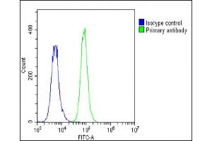 Overlay histogram showing A549 cells stained with (ABIN390928 and ABIN2841130)(green line). (IGFBP4 Antikörper  (N-Term))