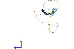 Protein Structure (PS) image for Protein Kinase C, delta Binding Protein (PRKCDBP) (AA 1-261) protein (His tag) (ABIN7550921)