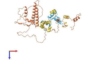 AlphaFold protein structure predicition of Human Recombinant ZNF487 Protein, UniprotID B1APH4