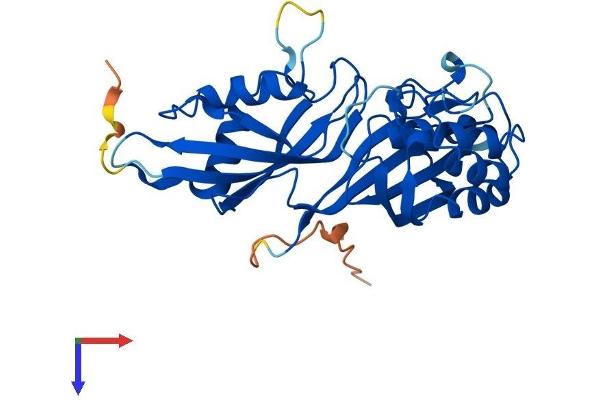PUSL1 Protein (AA 1-303) (His tag)