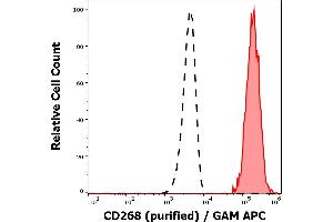 Separation of human CD268 positive lymphocytes (red-filled) from neutrophil granulocytes (black-dashed) in flow cytometry analysis (surface staining) of human peripheral whole blood stained using anti-human CD268 (11C1) purified antibody (concentration in sample 0,6 μg/mL, GAM APC). (TNFRSF13C Antikörper)