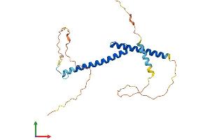 Protein Structure (PS) image for Myogenin (Myogenic Factor 4) (MYOG) (AA 1-224) protein (His tag) (ABIN7562855)