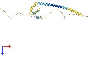 REEP2 Protein (AA 1-254) (His tag)