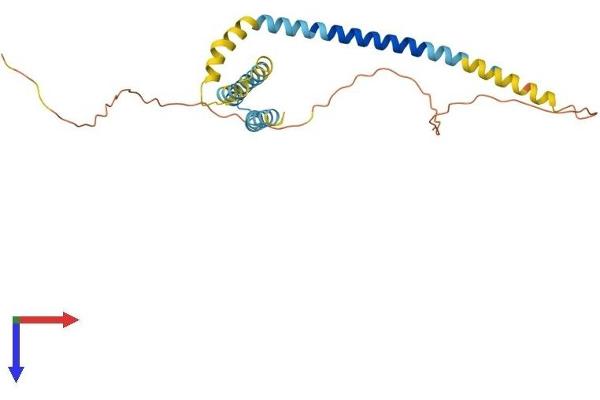 REEP2 Protein (AA 1-254) (His tag)