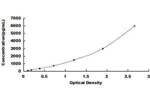 Typical Standard Curve