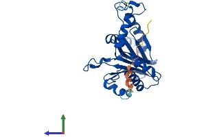 Protein Structure (PS) image for Proteasome Subunit alpha Type 1 (PSMA1) (AA 1-263) protein (His tag) (ABIN7551067)