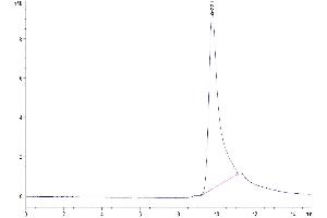 Size-exclusion chromatography-High Pressure Liquid Chromatography (SEC-HPLC) image for Chemokine (C-C Motif) Ligand 24 (CCL24) (AA 27-119) protein (His tag) (ABIN7274047)