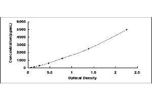 Typical standard curve (CD160 ELISA Kit)