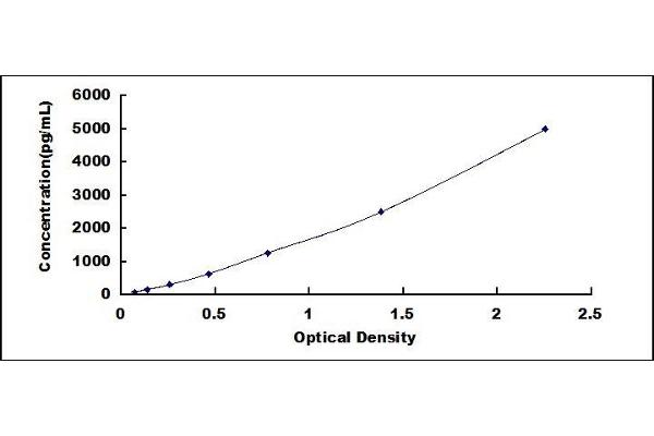 CD160 ELISA Kit