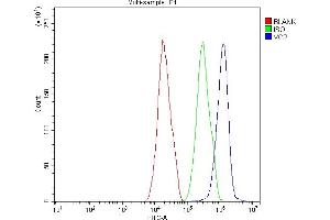 Flow Cytometry analysis of HepG2 cells using anti-VCP antibody (ABIN3043958).