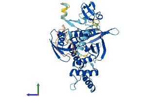 Protein Structure (PS) image for Myosin Regulatory Light Chain Interacting Protein (MYLIP) (AA 1-445) protein (His tag) (ABIN7558753)