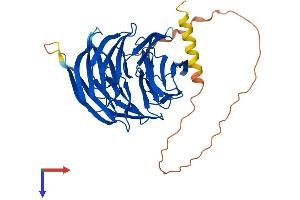 PAK1IP1 Protein (AA 1-392) (His tag)