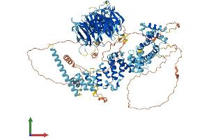 Protein Structure (PS) image for Hermansky-Pudlak Syndrome 5 (HPS5) (AA 1-1126) protein (His tag) (ABIN7563479)