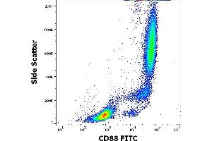 Flow cytometry surface staining pattern of human peripheral whole blood stained using anti-human CD88 (S5/1) FITC antibody (4 μL reagent / 100 μL of peripheral whole blood). (C5AR1 Antikörper  (AA 15-27) (FITC))