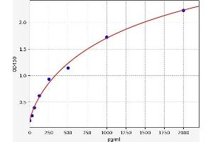 Interleukin 1 Family Member 9 (IL1F9) ELISA Kit