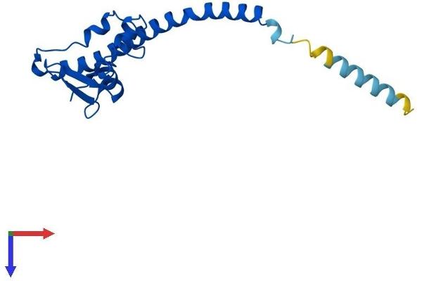 RSL24D1 Protein (AA 1-163) (His tag)