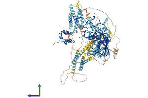AlphaFold protein structure predicition of Human Recombinant DGKD Protein, UniprotID Q16760