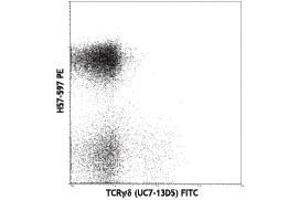 Flow Cytometry of anti-TCRbeta PE - 200-B08-N92 Flow Cytometry of anti-TCRbeta Phycoerythrin Conjugated Monoclonal Antibody. (TCR beta Antikörper  (PE))