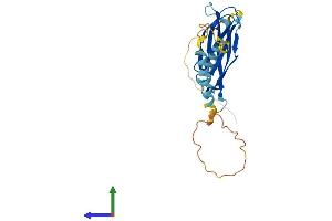 Protein Structure (PS) image for Motile Sperm Domain Containing 3 (MOSPD3) (AA 1-235) protein (His tag) (ABIN7558553)