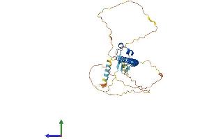 Protein Structure (PS) image for Nuclear Factor (Erythroid-Derived 2), 45kDa (NFE2) (AA 1-373) protein (His tag) (ABIN7549788)