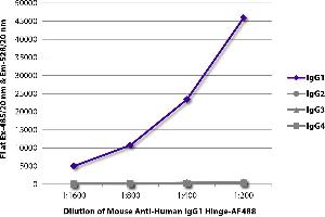 FLISA plate was coated with purified human IgG1, IgG2, IgG3, and IgG4. (Maus anti-Human IgG1 (Hinge Region) Antikörper)