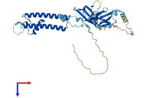 KCNJ11 Protein (AA 1-390) (His tag)