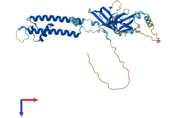KCNJ11 Protein (AA 1-390) (His tag)