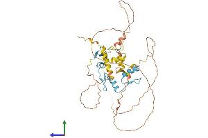 Protein Structure (PS) image for IKAROS Family Zinc Finger 5 (Pegasus) (IKZF5) (AA 1-419) protein (His tag) (ABIN7558891)