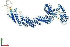 Protein Structure (PS) image for Cullin 1 (CUL1) (AA 1-776) protein (His tag) (ABIN7553606)